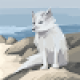 Profile Picture of khalidinfo73