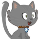 Profile Picture of asifrahmangmhs
