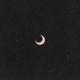 avatar icon
