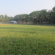 Profile Picture of nazfarm2015