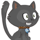 Profile Picture of hfahin071