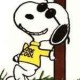 User Icon